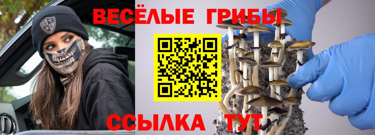 Псилоцибиновые грибы мухоморы Кострома